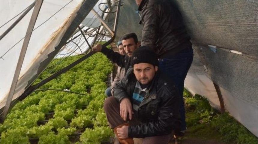 Akhisar Ovasında &Ccedil;ift&ccedil;i Mağdur