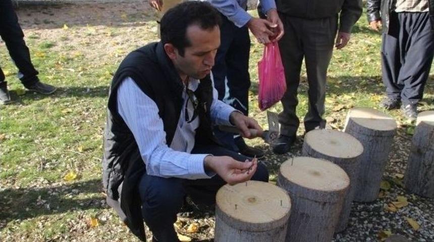 G&uuml;lnar&rsquo;ın Orman K&ouml;yl&uuml;lerine Yeni Gelir Kapısı A&ccedil;ıldı