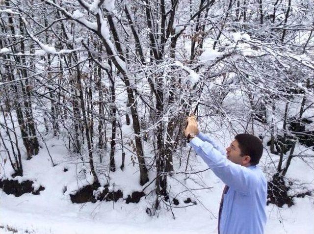 Milletvekili Tunç’tan Kar Selfie’si