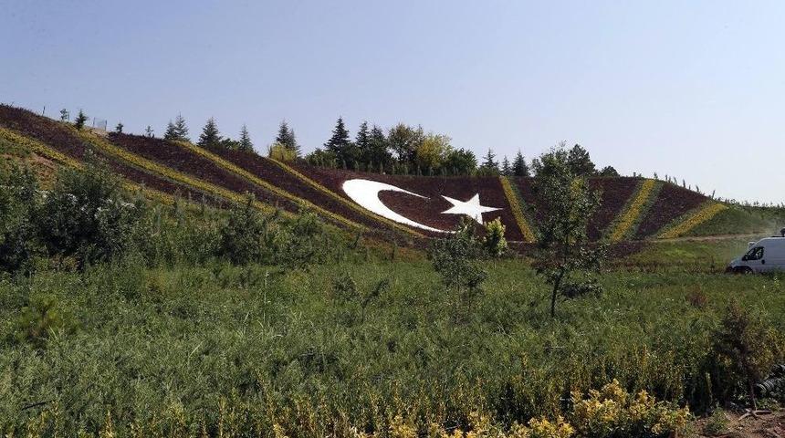 Başkan Duruay Ağa&ccedil;landırma &Ccedil;alışmalarını Yerinde İnceledi