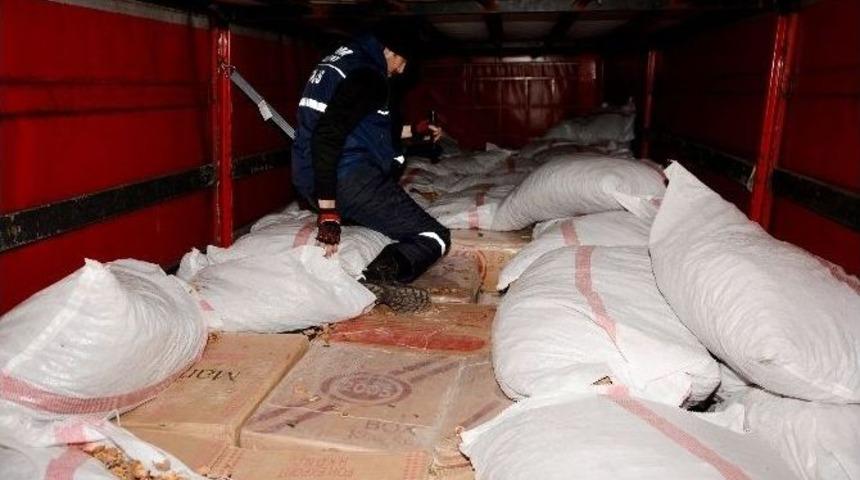 &Ccedil;alıntı G&uuml;mr&uuml;k M&uuml;h&uuml;rl&uuml; Tır&rsquo;da 495 Bin Paket Ka&ccedil;ak Sigara Ele Ge&ccedil;irildi