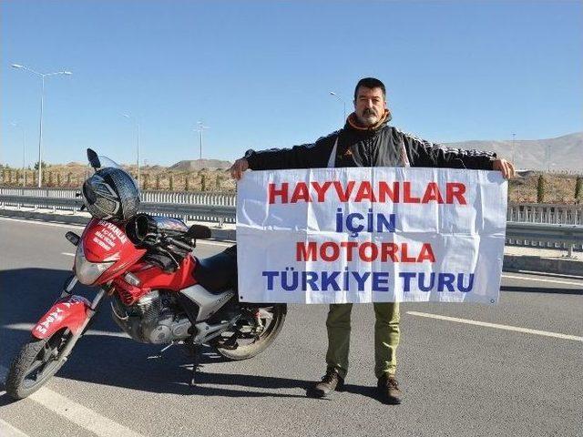 Sokak Hayvanları İçin Motor Üstünde 10 Bin Kilometre