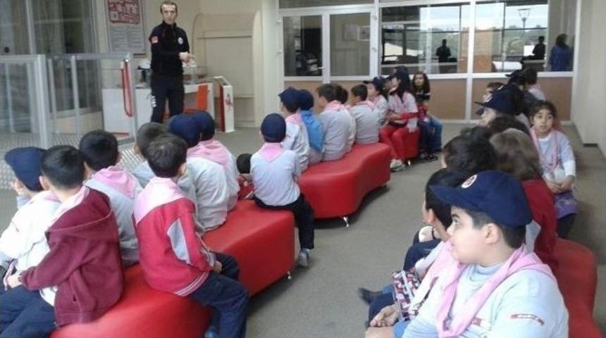 Yavru Kurtlar Depremi Yaşadı