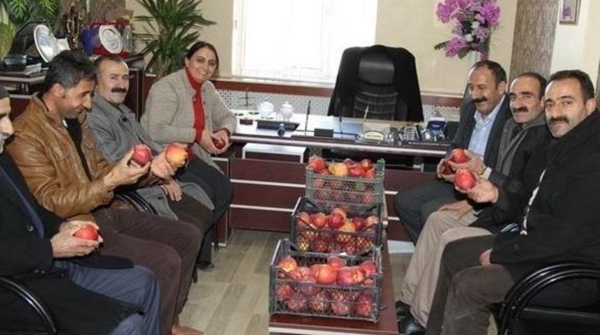 Meyve &Uuml;reticisinden Eş Başkanlara Ziyaret