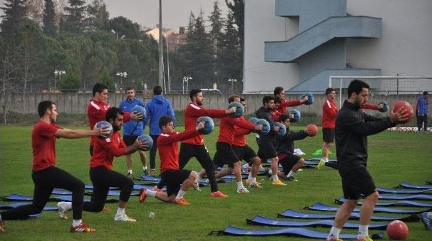 Renkdaşların Liderlik Savaşı