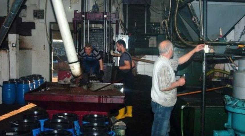 Baba- Oğul Taş Baskı Zeytinyağı Geleneğini S&uuml;rd&uuml;r&uuml;yor