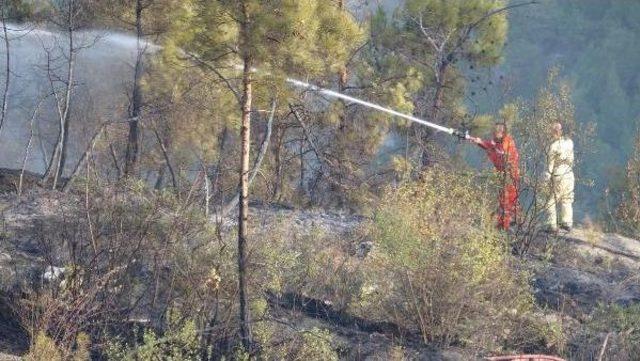 Karabük'te 20 Hektar Kızılçam Ormanı Yandı