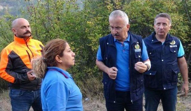 Karab&uuml;k te 20 Hektar Kızıl&ccedil;am Ormanı Yandı 3