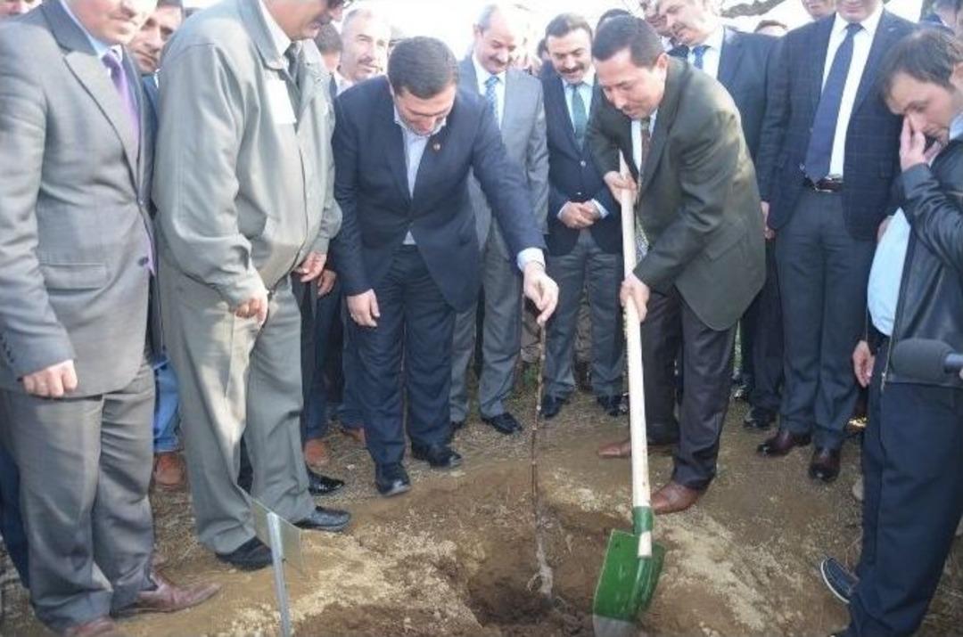 11. Cumhurbaşkanı Abdullah G&uuml;l Ceviz Ormanı&rsquo;na T&ouml;renle Fidan Dikildi