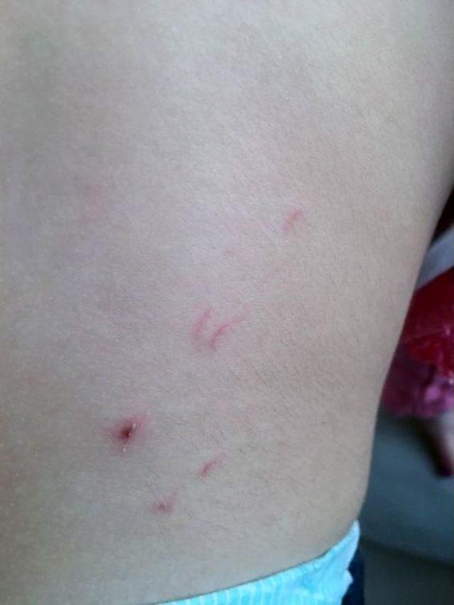 Güvenlik Kamerasına Yansıyan Şiddeti Görmeyen Polislere Dava 2