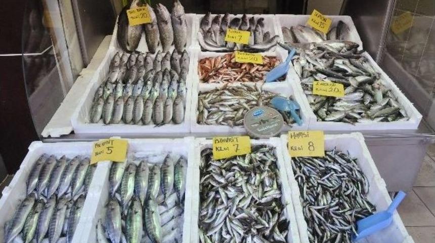 Yılbaşı Sonrası Balık Fiyatları Dudak U&ccedil;uklatıyor