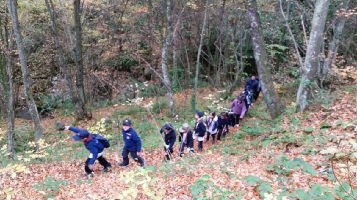 Yavrukurtlar &Ouml;ğrendiklerini Kampta Uyguladılar