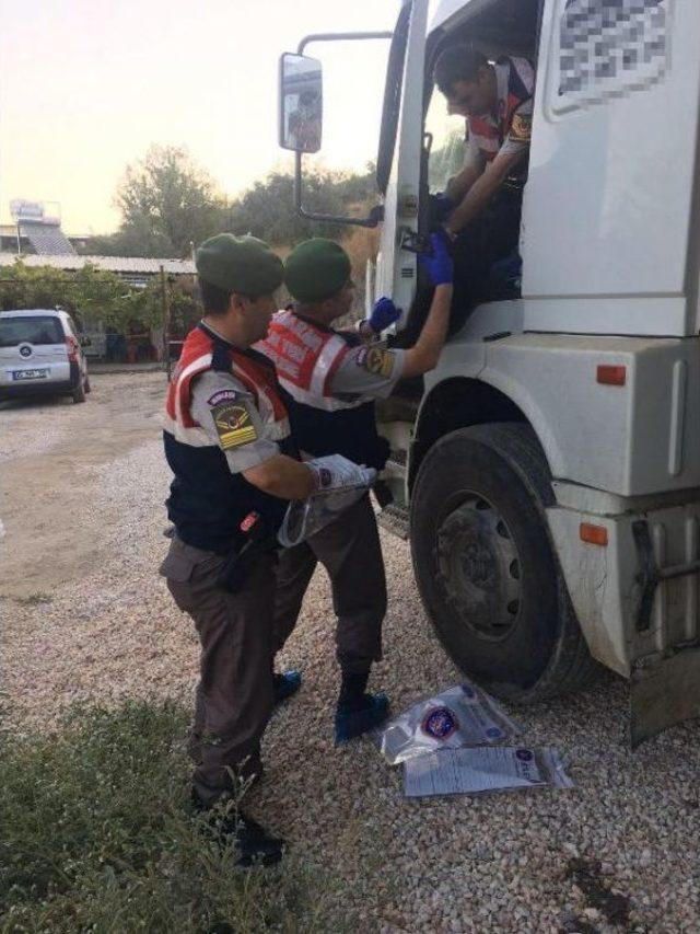 Tire de Ter&ouml;r Operasyonu: 5 G&ouml;zaltı 2