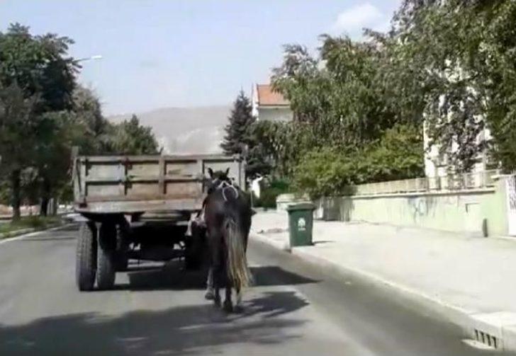 Traktörün Arkasına Bağladığı Atını Koşturdu