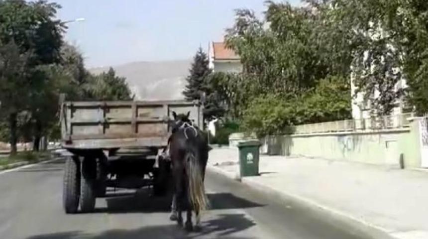 Trakt&ouml;r&uuml;n Arkasına Bağladığı Atını Koşturdu