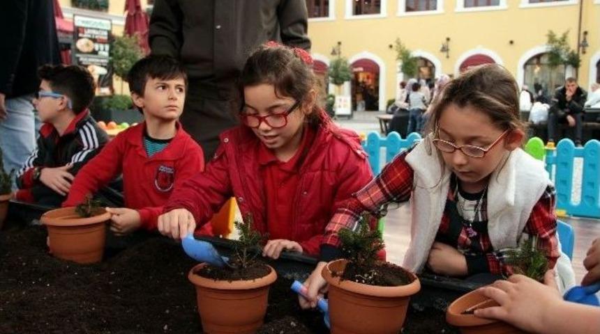 "bir Fidan Sizden Bir Orman Bizden" Etkinliği