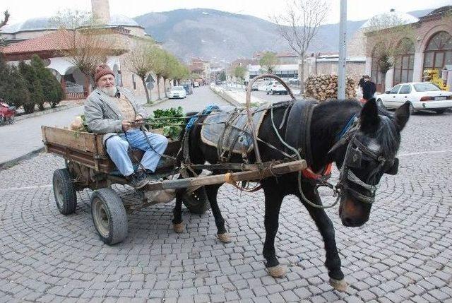 88 Yaşındaki Dedenin Çalışma Azmi