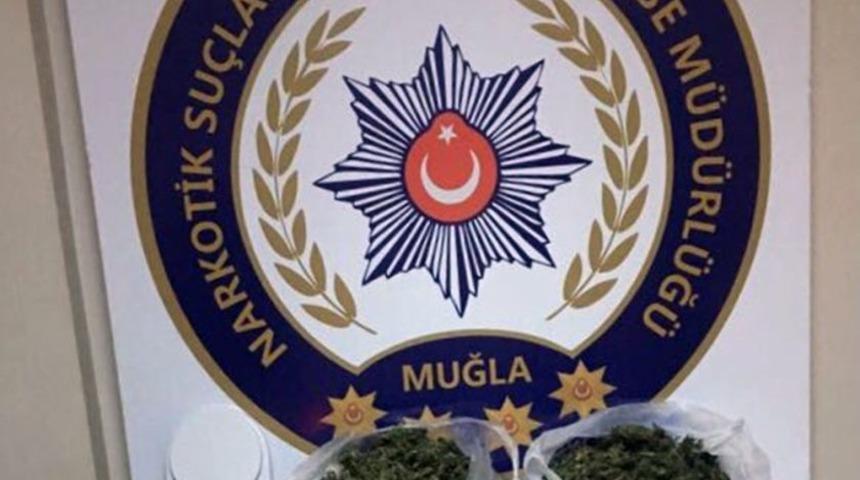 Zehir Tacirlerine Operasyon