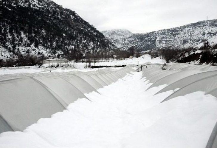 Vali Nayir Kardan Çöken Seralarda İnceleme Yaptı G1