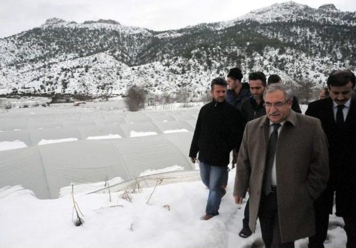 Vali Nayir Kardan Çöken Seralarda İnceleme Yaptı G2