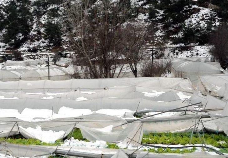 Vali Nayir Kardan Çöken Seralarda İnceleme Yaptı G3