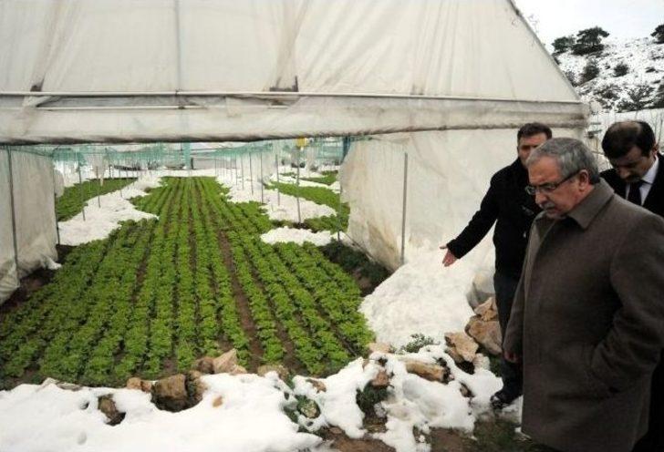 Vali Nayir Kardan Çöken Seralarda İnceleme Yaptı G5