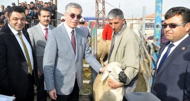 Aksaray&rsquo;da 143 Kişiye 632 Adet Ko&ccedil; Dağıtıldı 1