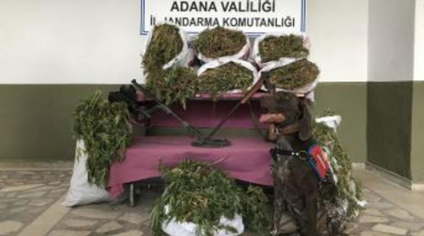 Adana&rsquo;da Uyuşturucu Operasyonu