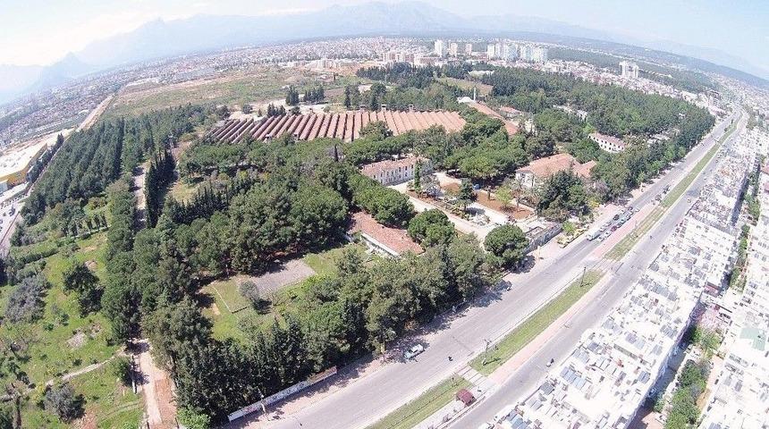 Dokuma&rsquo;da Fikirler Yarışacak