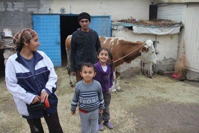 Geçen Yıl Evi Yanan Aile, Ahırda Hayvanlarla Yaşıyor