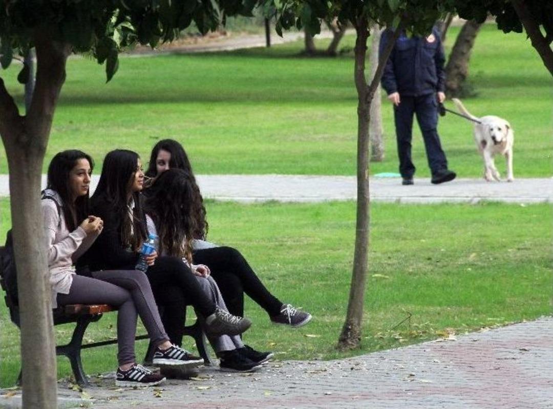 Parkta Narkotik K&ouml;pekli Uyuşturucu Uygulaması