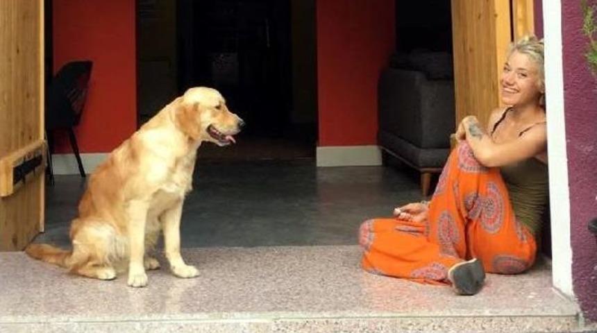 Otob&uuml;s Bagajında &Ouml;len K&ouml;peği 'odin' I&ccedil;in Su&ccedil; Duyurusunda Bulundu