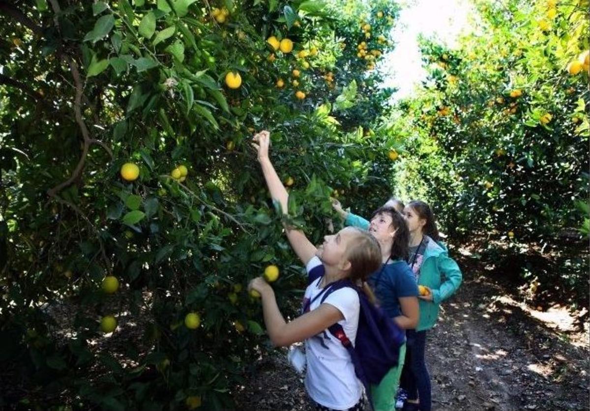 &Ccedil;ukurova &Uuml;niversitesi&rsquo;nde Yabancı Konukları Ağırladılar