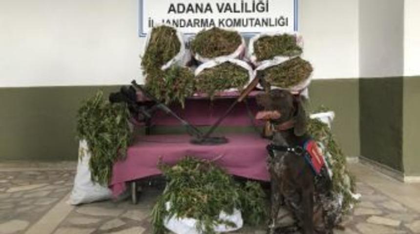 32 Kilo Esrarı 'radar' Buldu