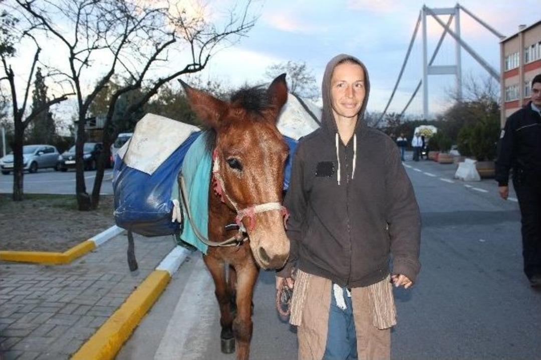 (&ouml;zel Haber) Eşek Ve Katırla D&uuml;nyayı Dolaştılar, Boğaz K&ouml;pr&uuml;s&uuml;nden Ge&ccedil;emediler