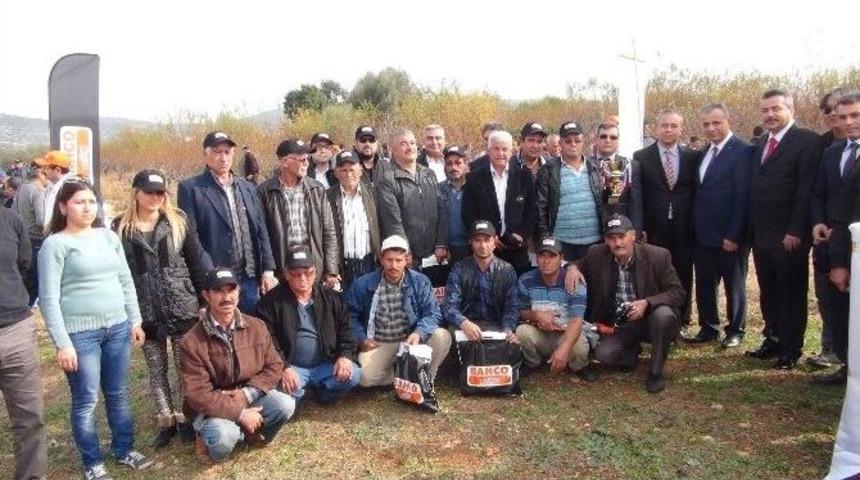 Silifke&rsquo;de &ldquo;ağa&ccedil; Budama Yarışması D&uuml;zenlendi