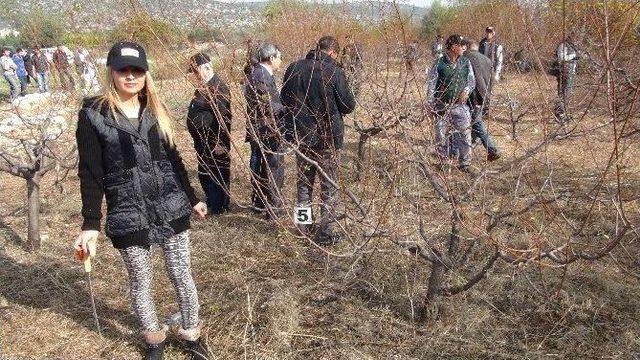 Silifke’de “ağaç Budama Yarışması Düzenlendi