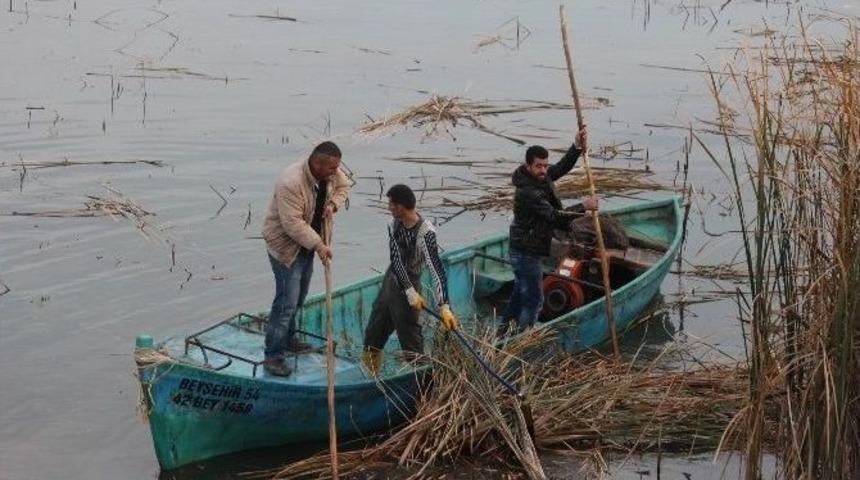 Beyşehir G&ouml;l&uuml; Kıyılarındaki Sazlıklar Temizleniyor