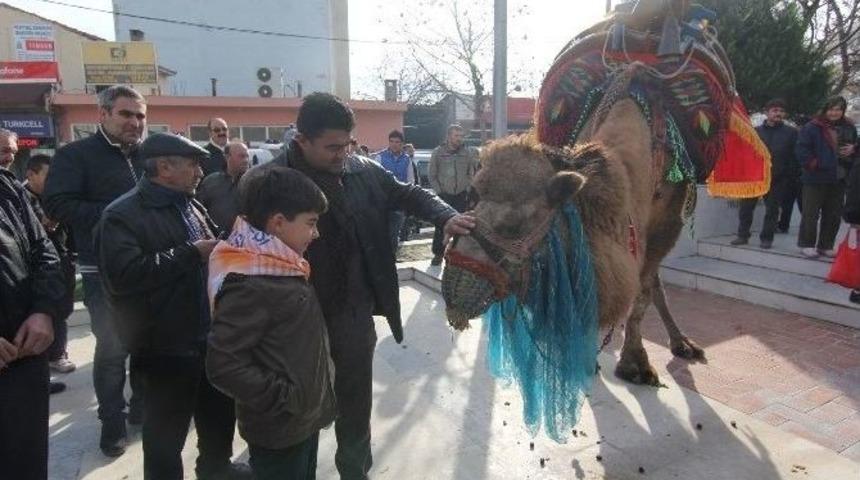 Develer Menderes Sokaklarında