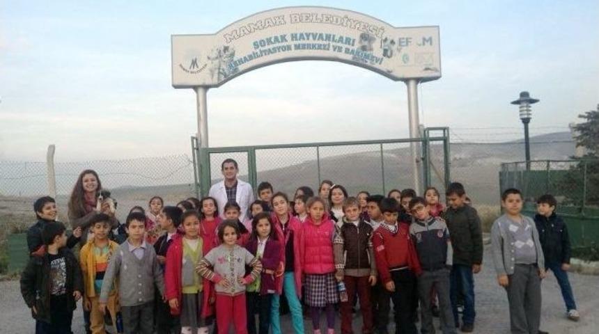 Bilgi Evi &Ouml;ğrencileri Sokak Hayvanları Rehabilitasyon Merkezi&rsquo;ni Gezdi