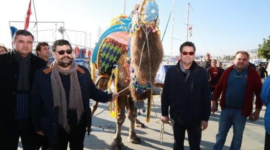 Pehlivan Develer Bodrum Arenası&rsquo;nda Buluştu