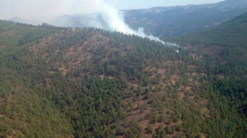 Balıkesir&rsquo;de Orman Yangını