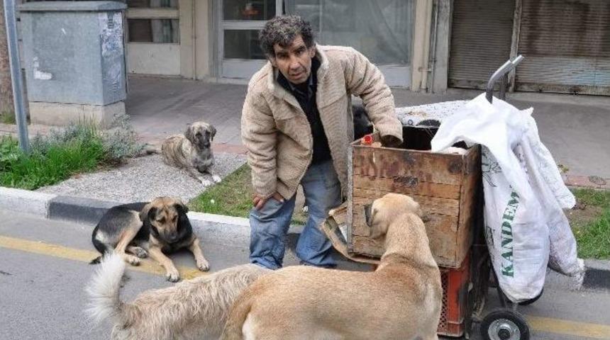 Zor Kazandığı Ekmeğini K&ouml;pekleriyle Paylaşıyor