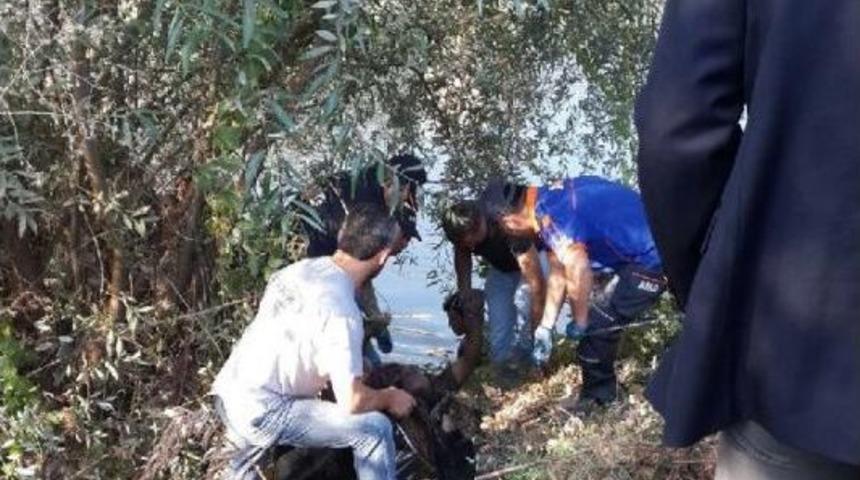 Terk Edilmiş Otomobilin S&uuml;r&uuml;c&uuml;s&uuml;n&uuml;n Cesedi Yeşilırmak&rsquo;Tan &Ccedil;ıktı