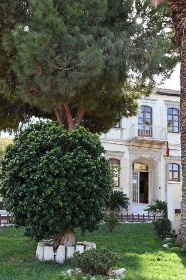 Aliağa&rsquo;da Meydanlar &Ccedil;i&ccedil;ek A&ccedil;tı 2