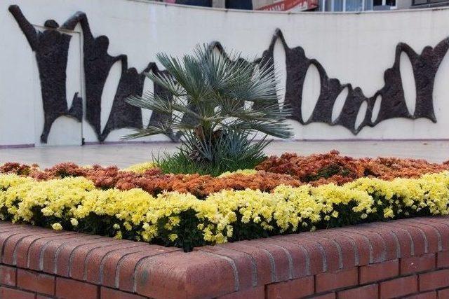 Aliağa&rsquo;da Meydanlar &Ccedil;i&ccedil;ek A&ccedil;tı 3