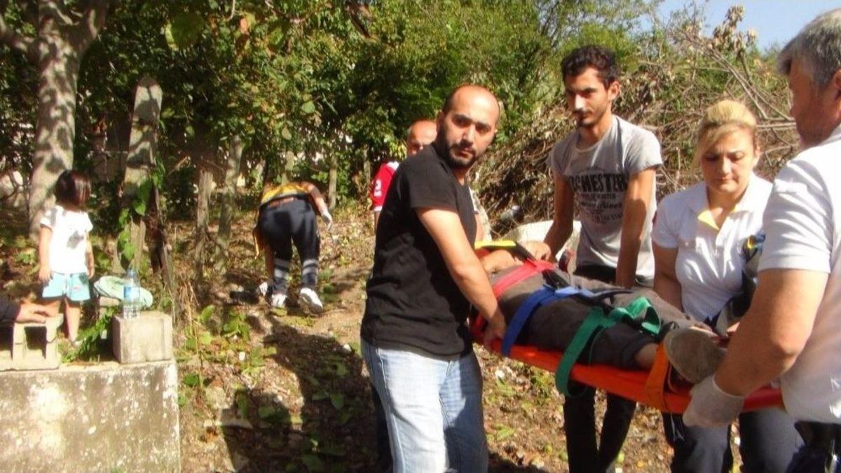 Ceviz Ağacından D&uuml;şen Şahıs Yaralandı