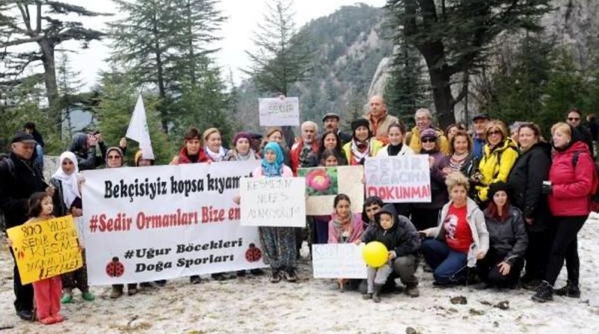 800 Yıllık Sedirleri Kesen Mermer Ocağı Protesto Edildi