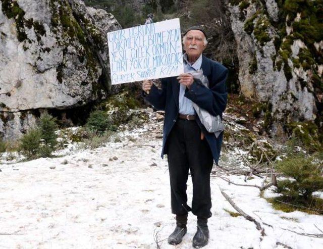 800 Yıllık Sedirleri Kesen Mermer Ocağı Protesto Edildi