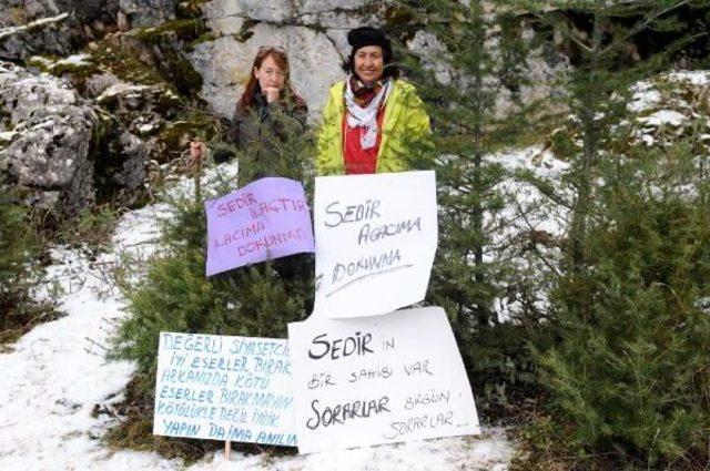 800 Yıllık Sedirleri Kesen Mermer Ocağı Protesto Edildi